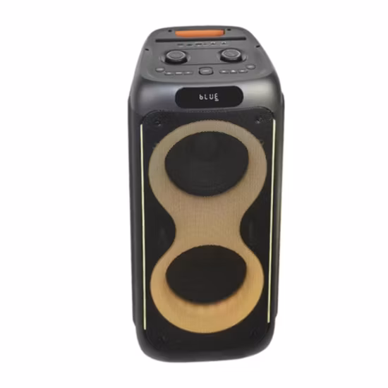 Mini microphones sans fil professionnels, nouveau Design, avec haut-parleurs Bluetooth, carte TF