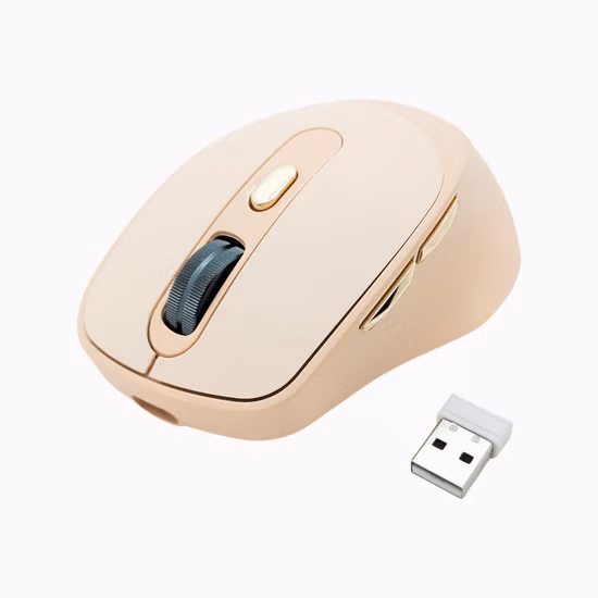 Souris sans fil avec récepteur USB 2,4 G pour PC, tablette, ordinateur portable